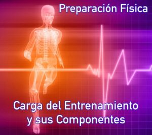 Preparación Física. La Carga del Entrenamiento y sus Componentes. Toni Matas Barcelo